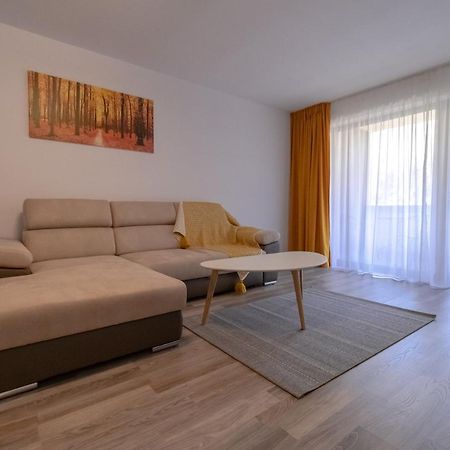 Transylvanian Apt. W/ Lrg. Terrace And Parking - Karpatenhaus Brassó Kültér fotó