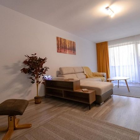 Transylvanian Apt. W/ Lrg. Terrace And Parking - Karpatenhaus Brassó Kültér fotó